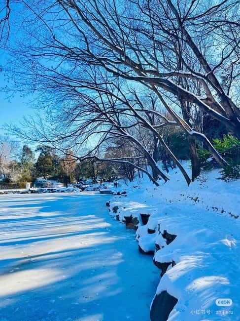 SummerPalace or temple of heaven Ticket with guide(optional) - Should you book this experience?