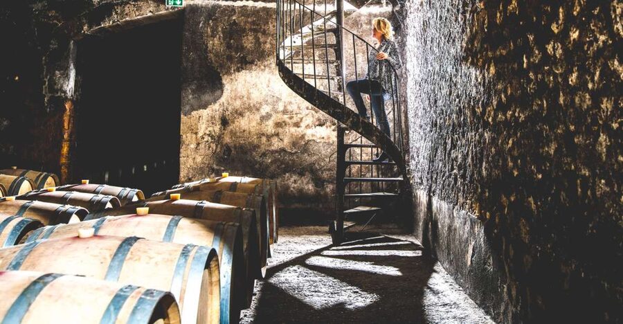 Taillan-Médoc: Château Visit and Wine Tasting in Bordeaux - Entering the 16th-century historic cellars