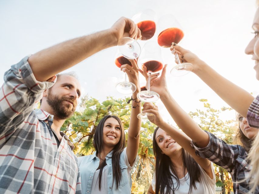 Taillan-Médoc: Château Visit and Wine Tasting in Bordeaux - Who will enjoy this château visit most