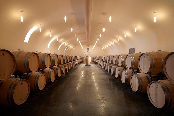 The Blending Tour at Château de La Dauphine - Arriving at Château de La Dauphine in Fronsac