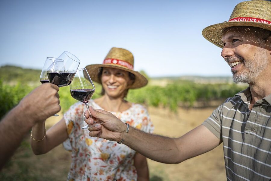 The Châteaux of Grès de Montpellier & Wine Tasting - Timing, meeting point, and practical details