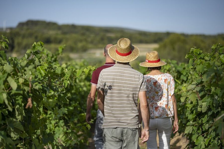 The Châteaux of Grès de Montpellier & Wine Tasting - Should you book The Châteaux of Grès de Montpellier?