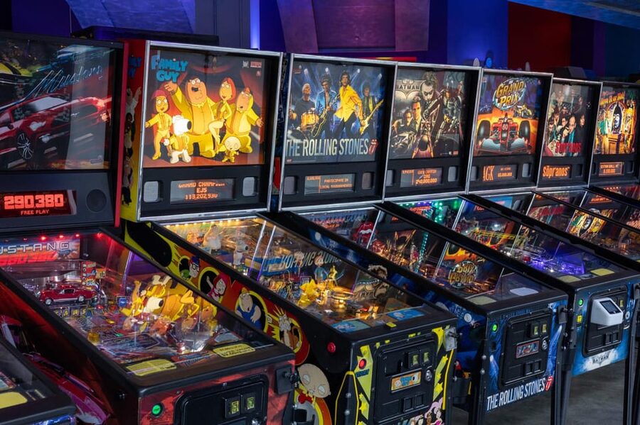 The Pinball Palace at Dezerland Park Admission - Who will enjoy The Pinball Palace most