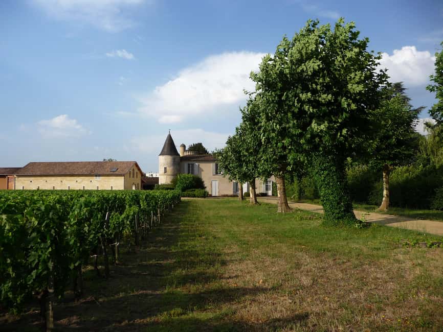 The vertical at Château Cruzeau - Key points at a glance