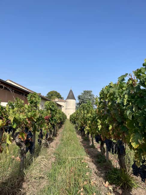 The vertical at Château Cruzeau - Why the vintage comparison is the main event