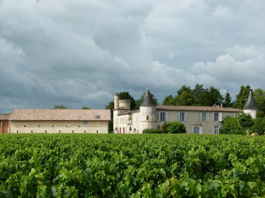 The vertical at Château Cruzeau - A family property with a long local story