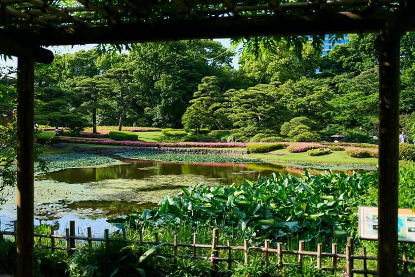 Tokyo Castle & Imperial PalaceーShogun Walking Tour - What the guide adds for $23