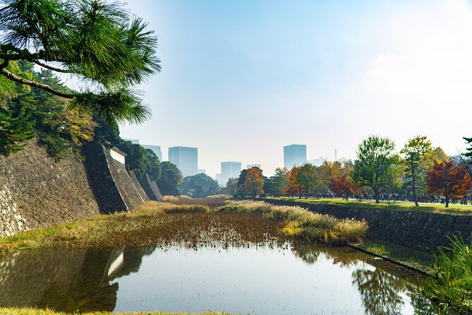 Tokyo: Edo Castle & East Garden of the Imperial Palace Tour - Why Edo Castle’s East Garden is worth your time