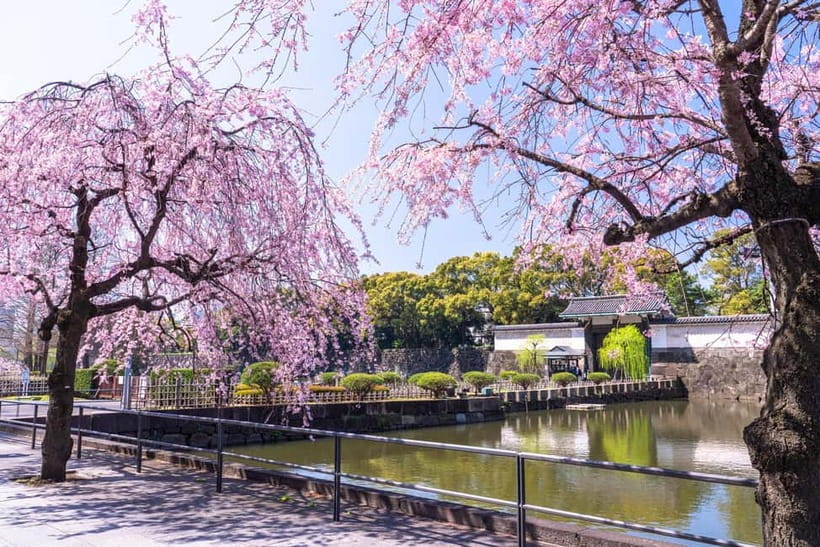 Tokyo: Edo Castle & East Garden of the Imperial Palace Tour - Who should book this walk