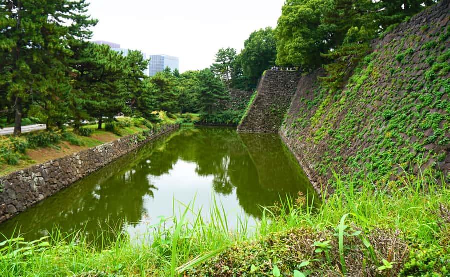 Tokyo: Imperial Palace Japanese History Walking Tour - Edo Castle ruins and the shogun’s world