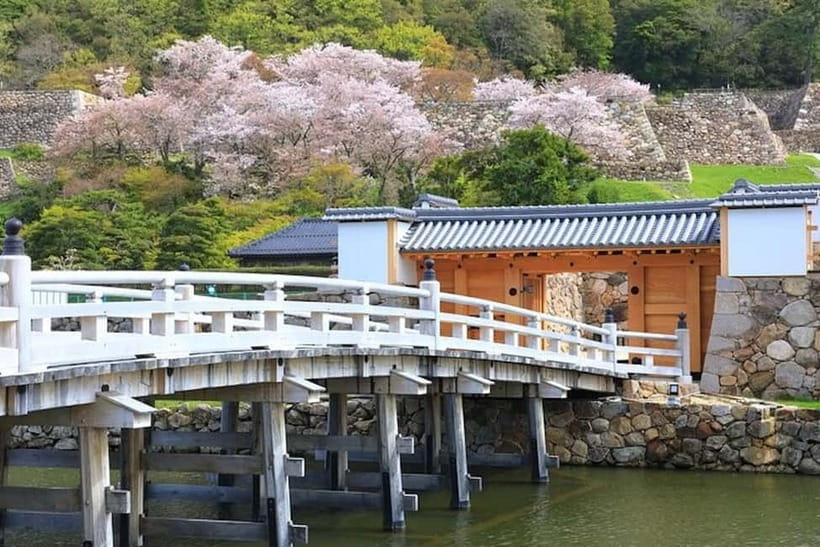Tokyo: Pvt. Tour - Edo Castle & Imperial Palace East Gardens - Who should book this experience?