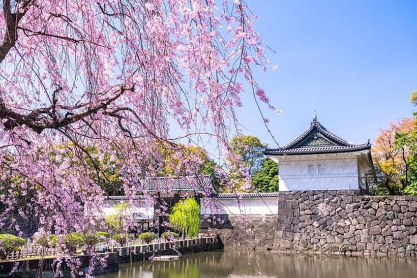 Tokyo: Pvt. Tour - Edo Castle & Imperial Palace East Gardens - The Main Gate and its guardhouse