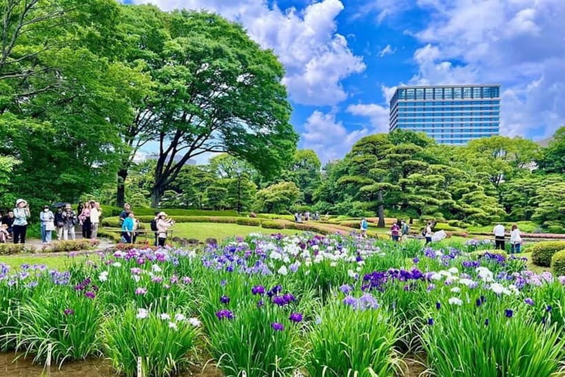 Tokyo: Pvt. Tour - Edo Castle & Imperial Palace East Gardens - How much time the two-hour tour gives you