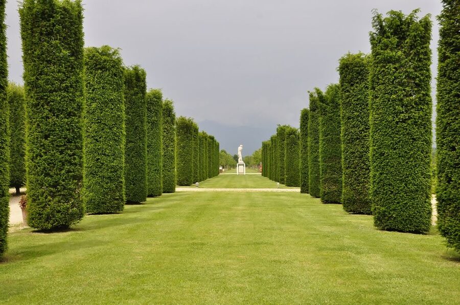 Turin: Palace of Venaria Guided Tour - Why Venaria Palace is worth the trip from Turin