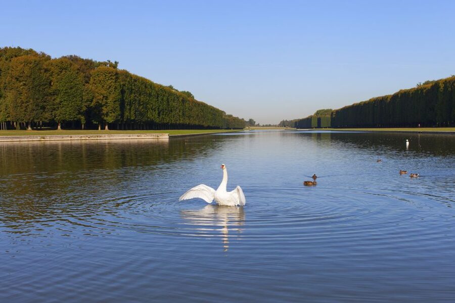 Versailles: Skip-the-Line Guided Tour of Palace with Gardens - The Hall of Mirrors