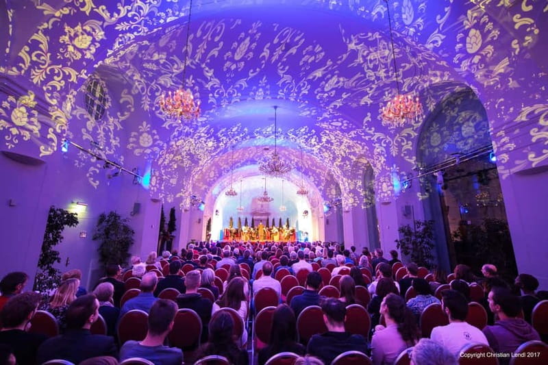 Vienna: Dinner & Concert at Schönbrunn Palace - What the concert at the Schönbrunn Orangery feels like
