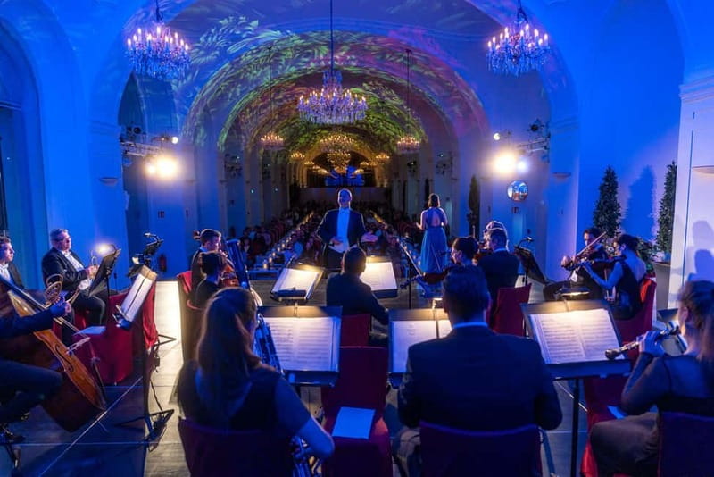 Vienna: Dinner & Concert at Schönbrunn Palace - Who will enjoy this evening most