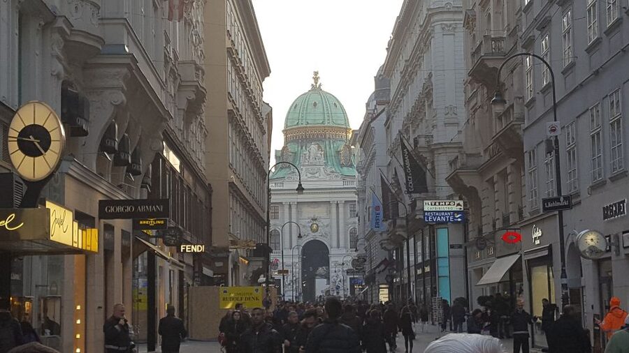 Vienna: Schönbrunn Palace and City Center Guided Tour - Should you book the Schönbrunn and city center tour?