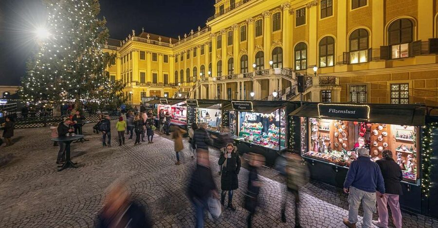 Vienna: Schönbrunn Palace & Christmas Market Walking Tour - Schönbrunn Palace at Christmas