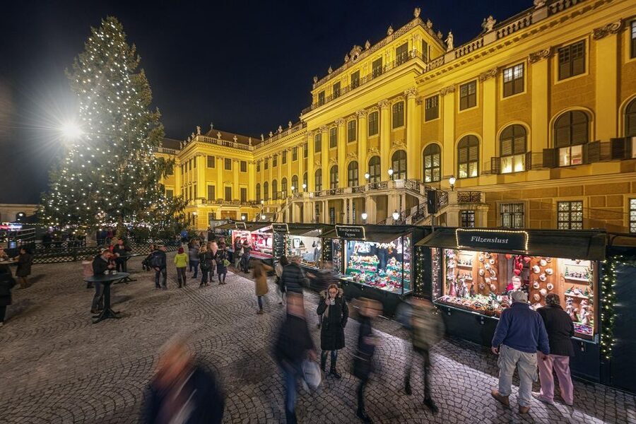 Vienna: Schönbrunn Palace & Christmas Market Walking Tour - Inside the palace with the Habsburgs