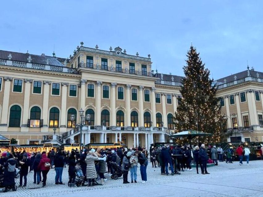 Vienna: Schönbrunn Palace & Christmas Market Walking Tour - Small-group pacing and accessibility