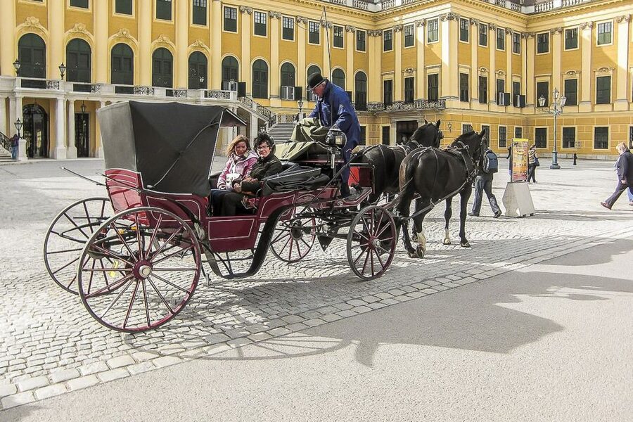 Vienna: Schönbrunn Palace & Gardens Skip-the-Line Tour - The gardens: one hour outdoors