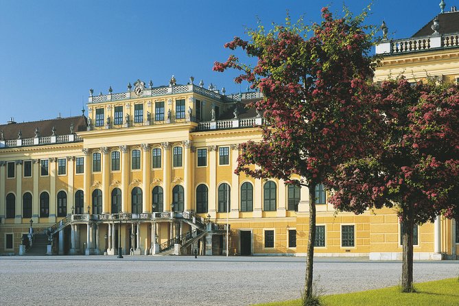 Vienna: Skip the Line Schönbrunn Palace and Gardens Guided Tour - Meeting at the Parade Court fountains