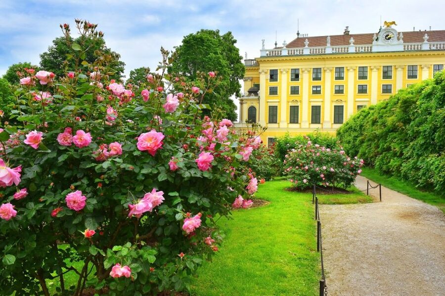 Vienna: Skip-the-Line Schonbrunn Palace Private Tour - What a private guide adds