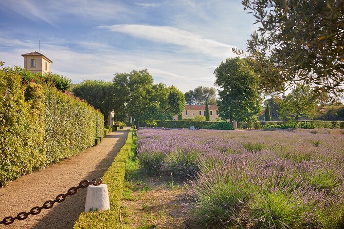 Visit of the cellars of Château Gigognan with tasting - English support is a real advantage