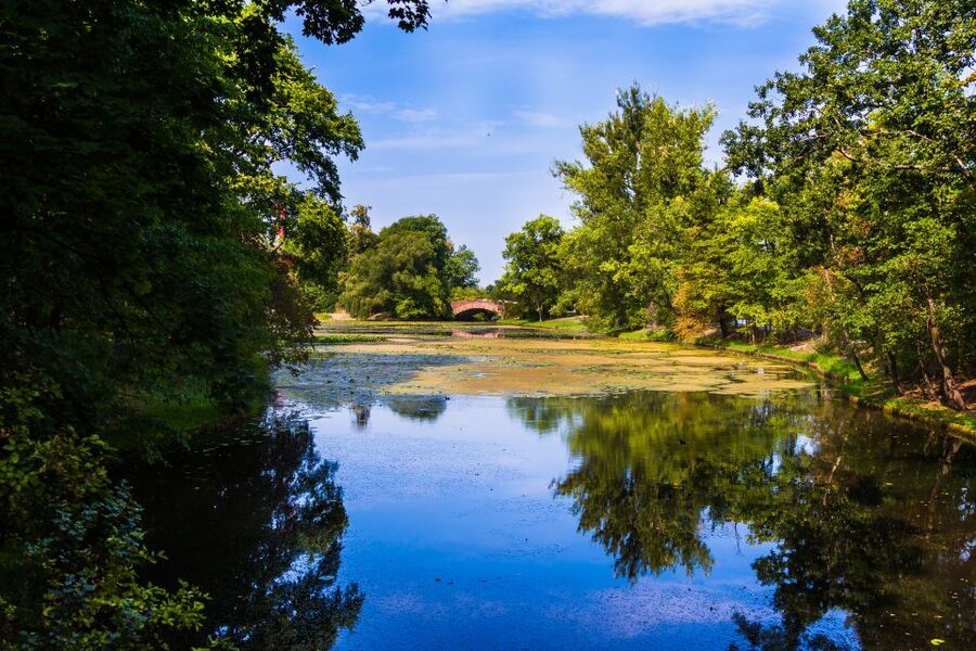 Warsaw Private Wilanow Palace & Garden Tour - Choosing your guide language