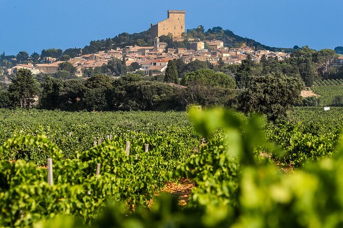 Wine Tasting Tour at Châteauneuf du Pape - From Avignon to the Châteauneuf-du-Pape vineyards