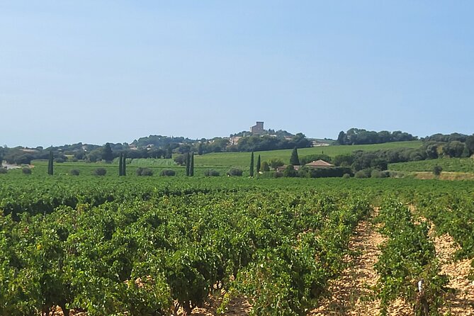 Wine Tasting Tour at Châteauneuf du Pape - Who will enjoy this afternoon most
