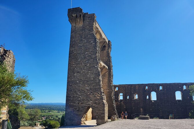 Wine Tasting Tour at Châteauneuf du Pape - Should you book the Châteauneuf-du-Pape tour?