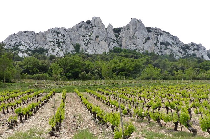 Wine Tasting Tour at Châteauneuf du Pape - FAQ
