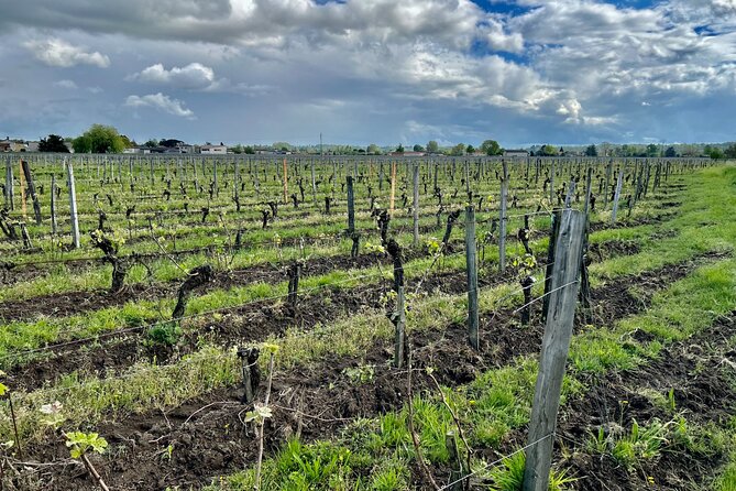 Wine Tour - Château Labrie Saint Emilion Grand Cru - A small estate near Saint-Émilion, not a grand production house